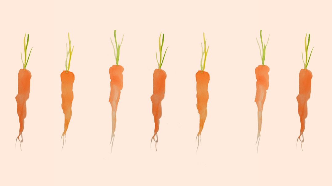 La carotte française