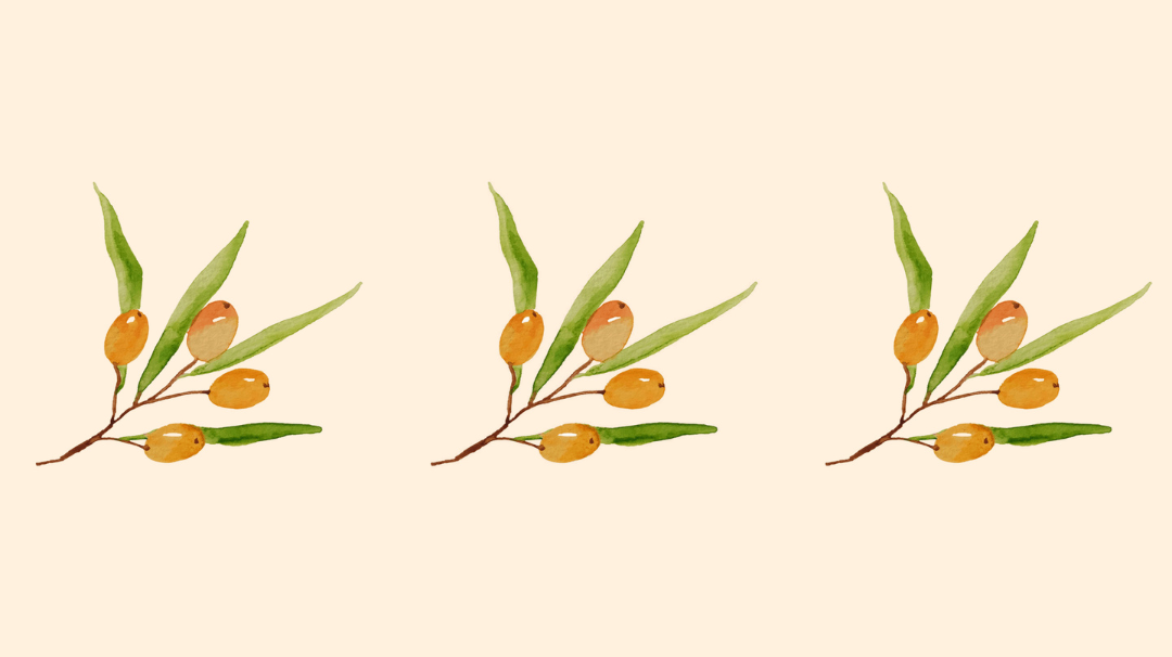 L'huile végétale d'argousier française biologique