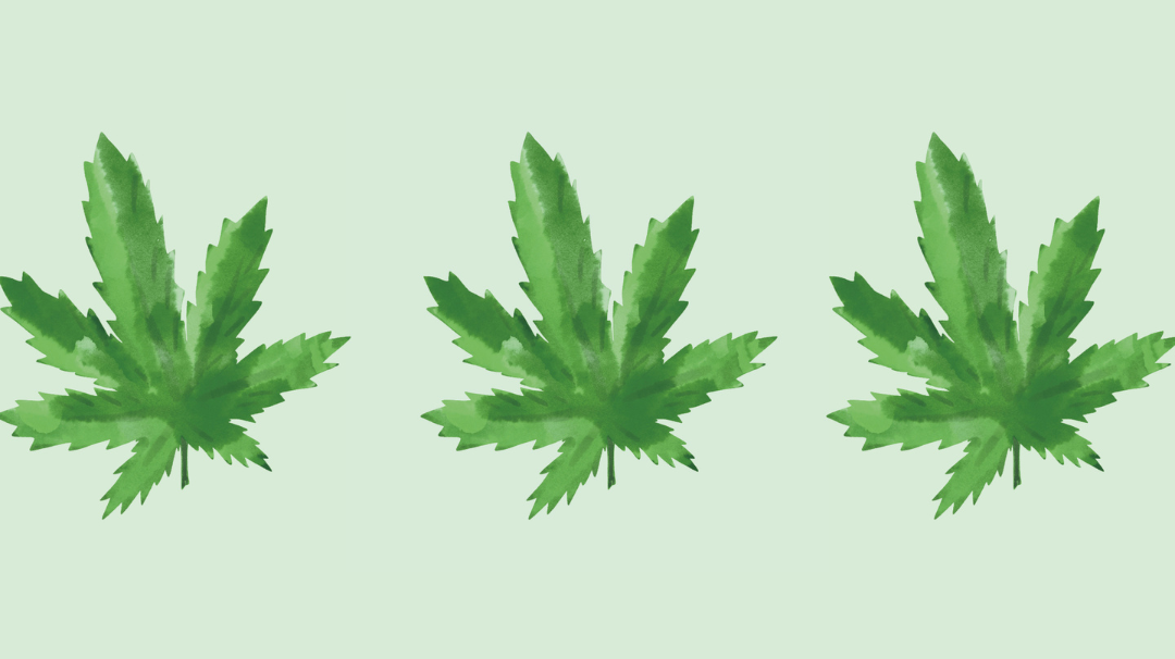 Le chanvre français