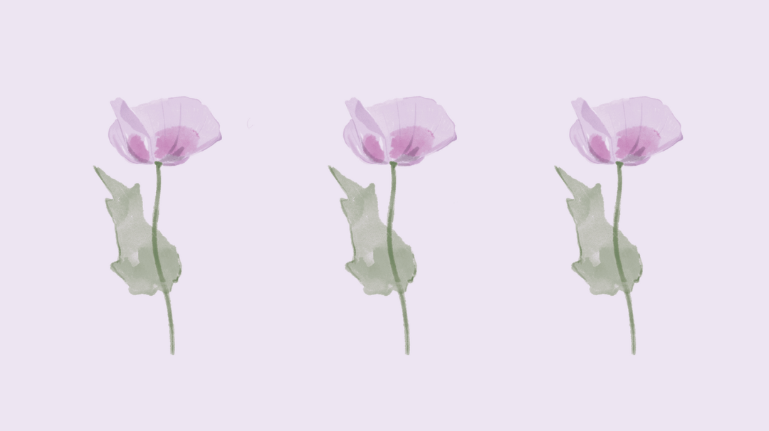 L'huile végétale d'oeillette française