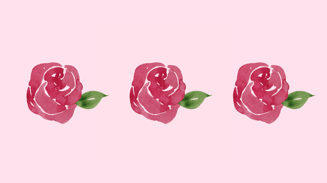 La rose de Damas française
