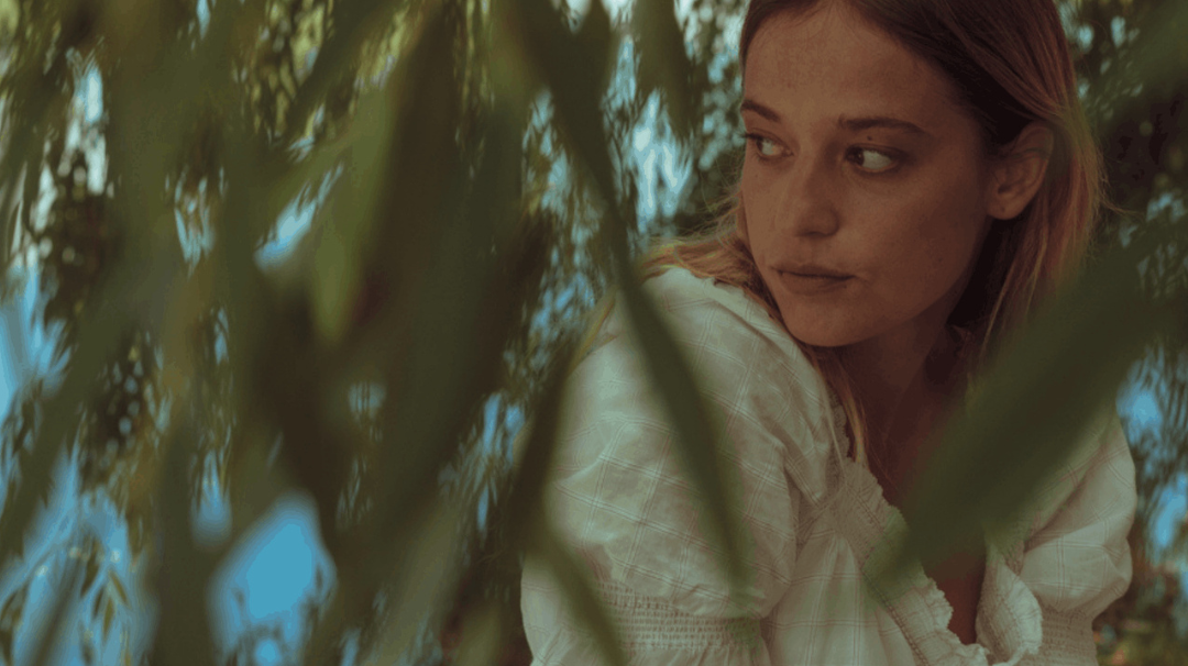 Les fleurs sauvages des forêts françaises