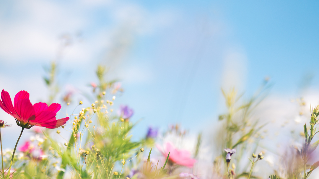 Faut-il changer sa routine beauté au printemps ?
