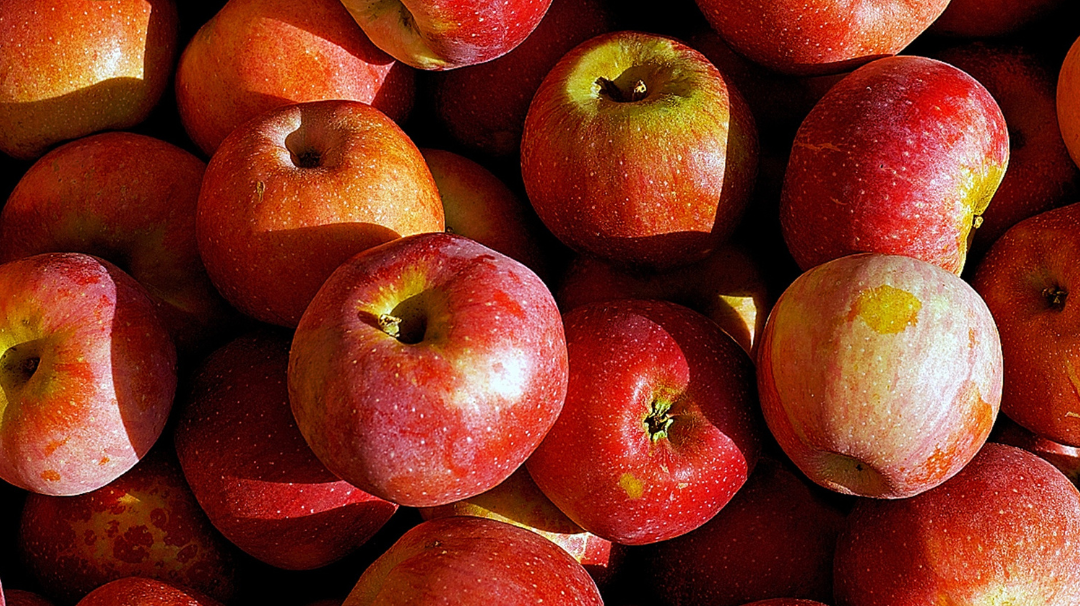 Les vertus de la pomme