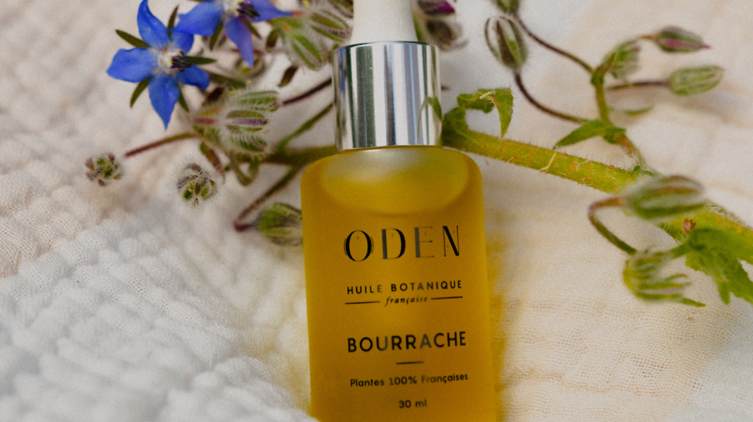 L'huile de bourrache française