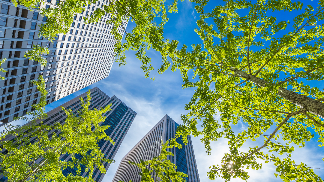 VÉGÉTALISATION URBAINE ET GREEN GUÉRILLA