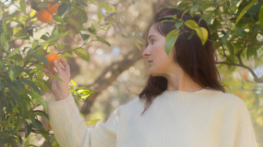 Tour d'horizon de nos ingrédients français