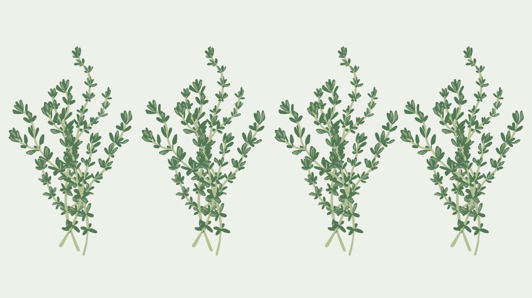 Le secret des plantes sauvages - partie 1