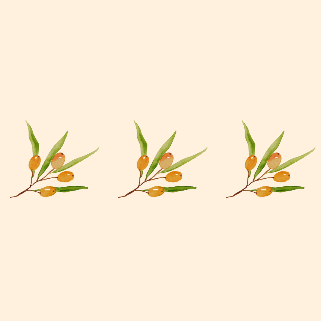 L'huile végétale d'argousier française biologique