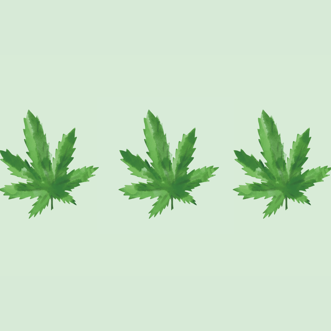 Le chanvre français