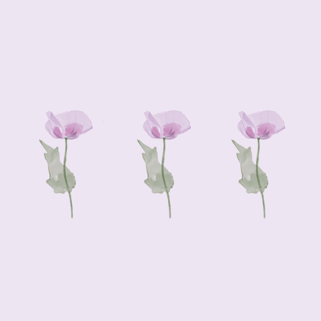 L'huile végétale d'oeillette française