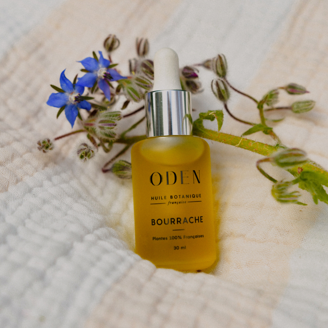 L'huile de bourrache française