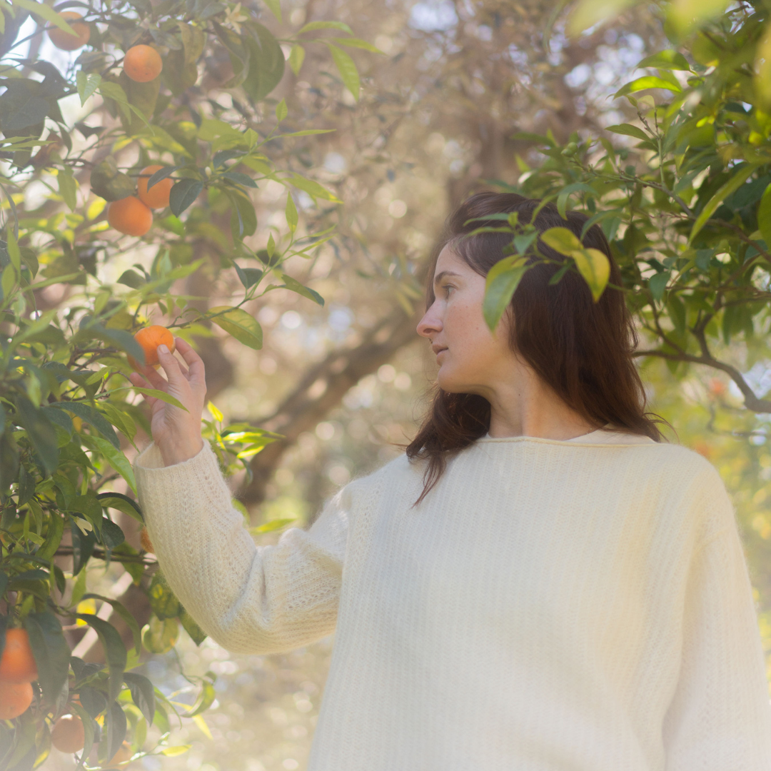 Tour d'horizon de nos ingrédients français