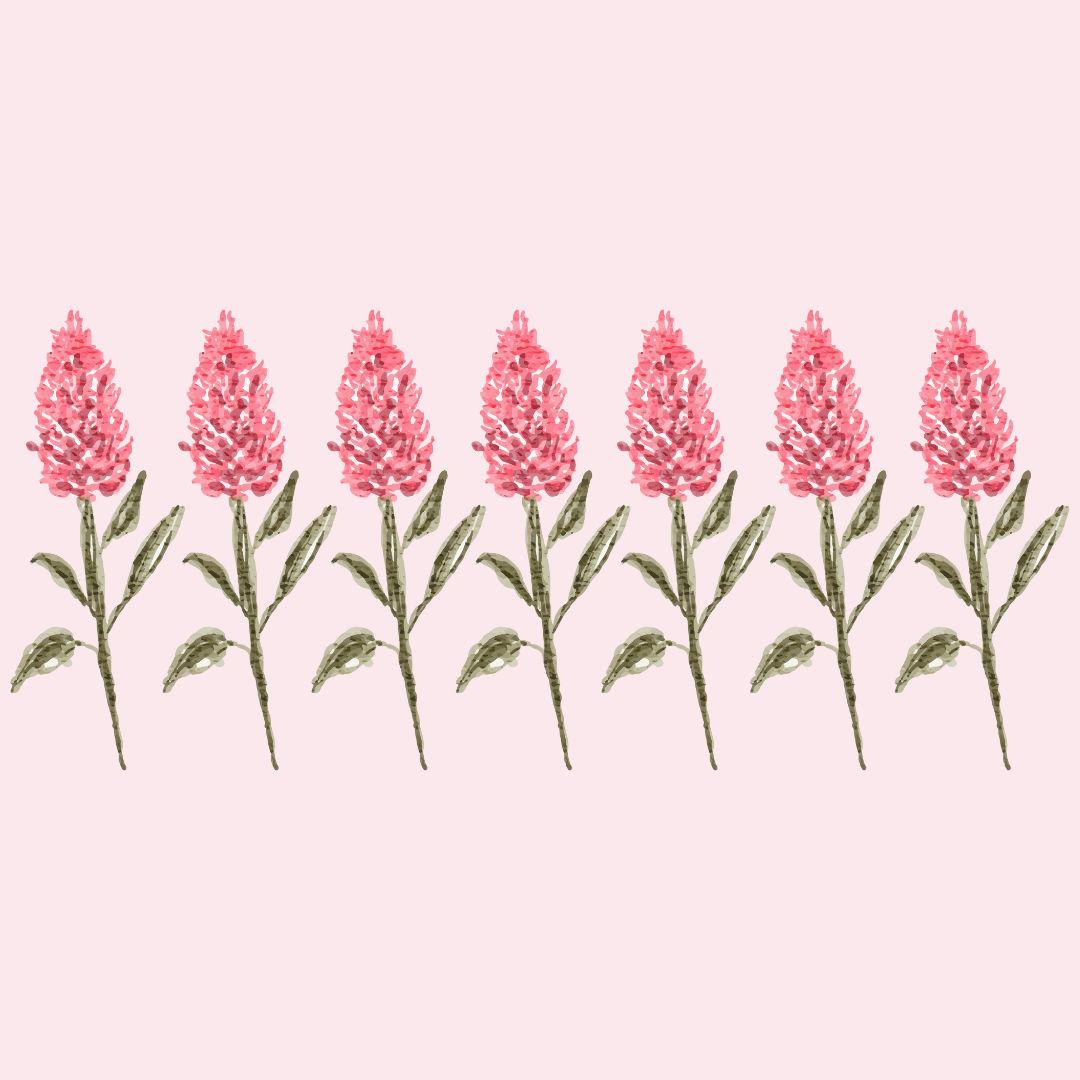 Les fleurs sauvages de Méditerranée