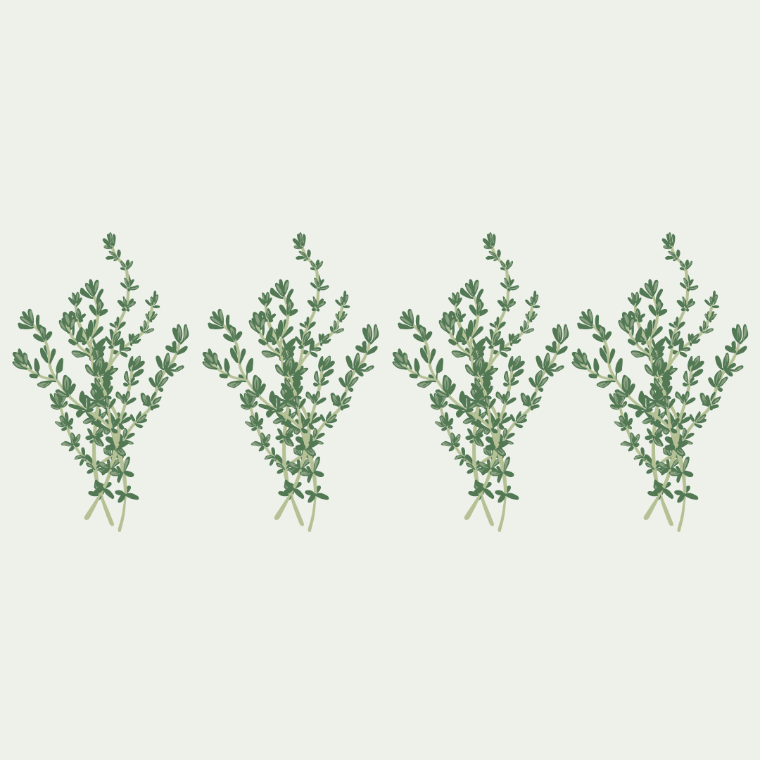 Le secret des plantes sauvages - partie 1