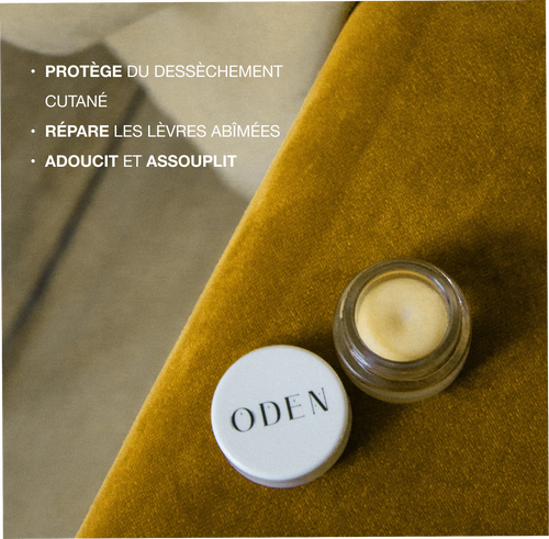 BAUME À LÈVRES FRANÇAIS